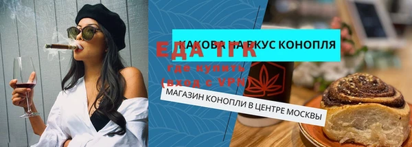 спиды Горняк