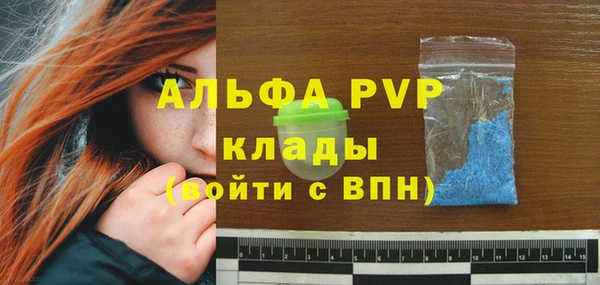 спиды Горняк