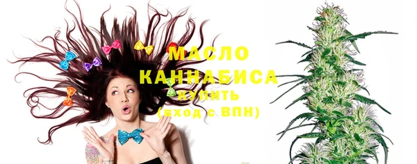 спиды Горняк